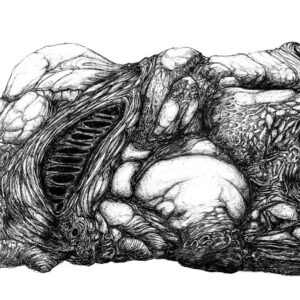 The Blob